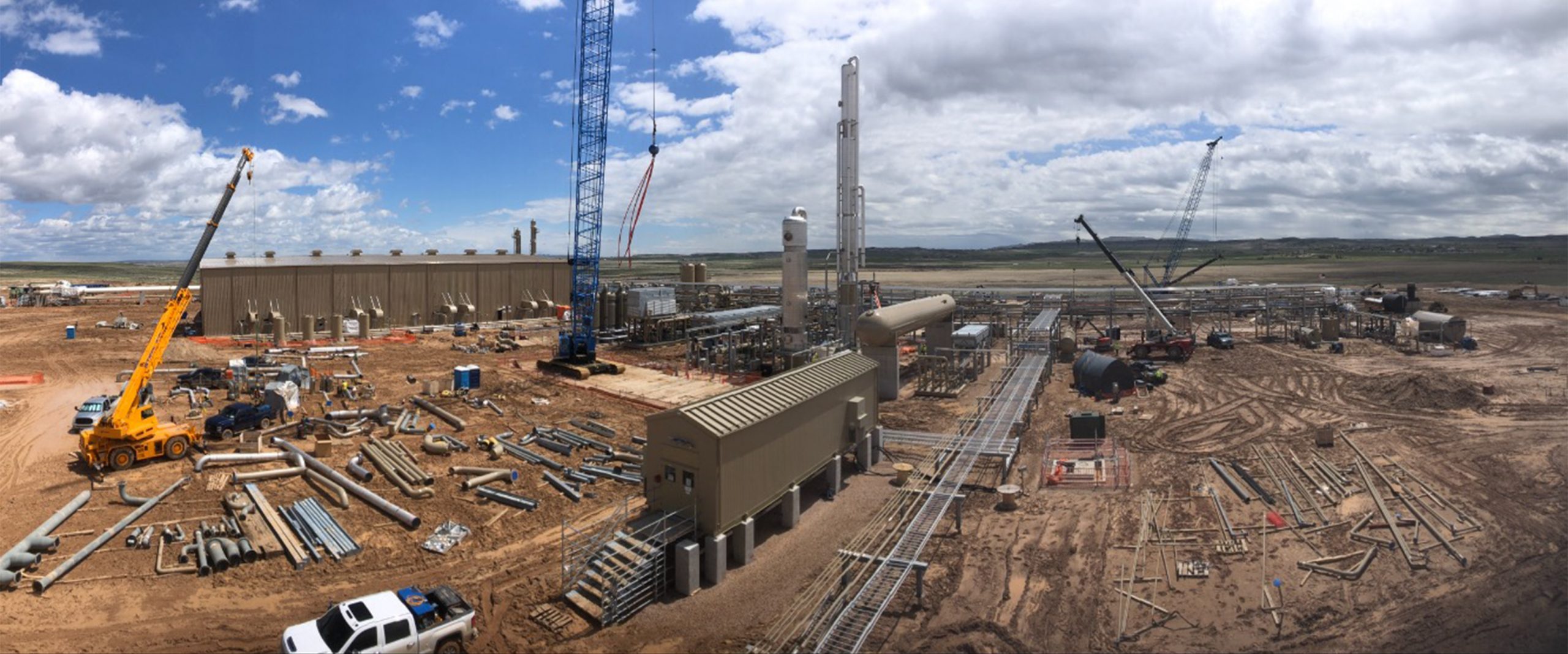 steamboatplant